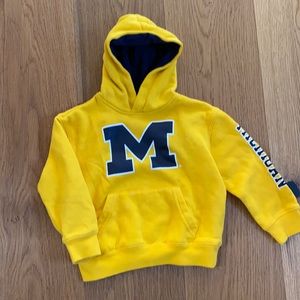 Toddler Michigan Hoddie